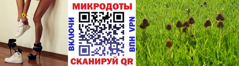 Псилоцибиновые грибы ЛСД  Павловский Посад 
