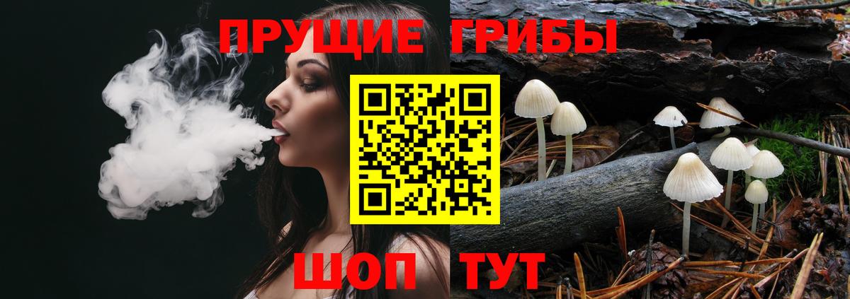 Галлюциногенные грибы GOLDEN TEACHER Павловский Посад