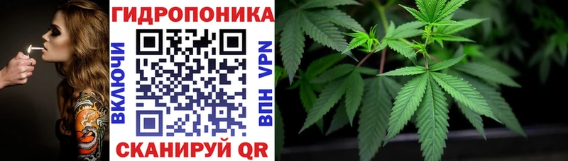 Бошки Шишки семена Павловский Посад